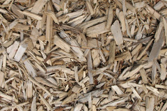 biomass boilers Beansburn