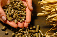 free Beansburn biomass boiler quotes
